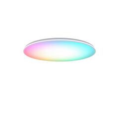Modern RGB LED Ceiling Light Fixture, Colorful Illumination