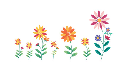 Obraz premium Colorful daisy flowers with green stems floral bloom