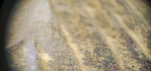 close up of a stone