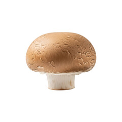 Mushroom stands alone with its cap, showing off its texture and earthy tones against a isolated background.
