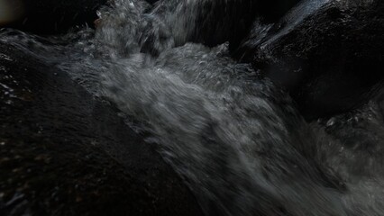 Scenic river with flowing water, rocks, trees, underwater view and sun reflection