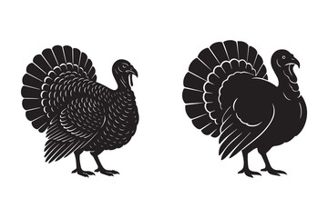 Turkey bird silhouette with white background