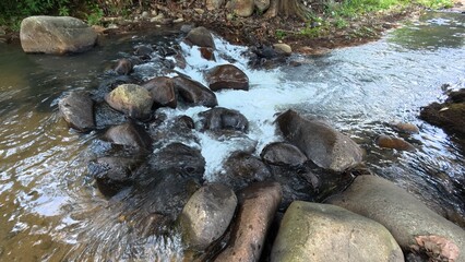 Scenic river with flowing water, rocks, trees, underwater view and sun reflection