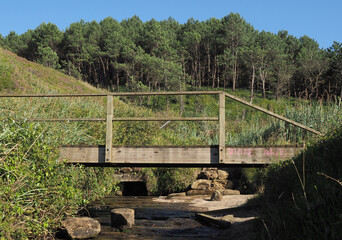 Fototapeta premium puente