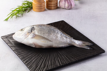 Raw fresh uncooked dorada fish