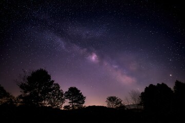 Silhouette Trees Against Milky Way Night Sky