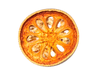 Dried bael fruit slice showing radial holes and rustic rind, traditional Asian herbal tea ingredient on isolated background