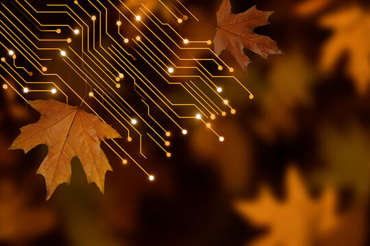 Modern tech autumn wallpaper, circuit board lines blending into falling leaves pattern, deep brown and amber tones, minimal design with blank area,