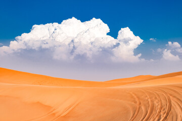 desert sand with car tire tracks