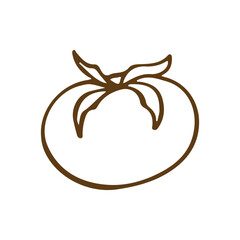 tomato vegetable line outline cartoon vector