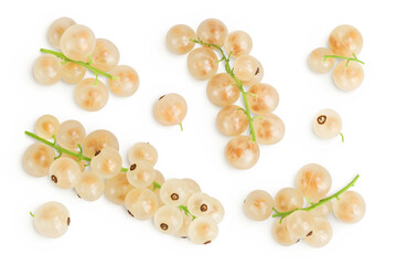white or yellow currant isolated on white background. Top view. Flat lay