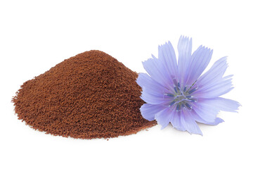 Chicory powder and flower isolated on white background. Cichorium intybus.