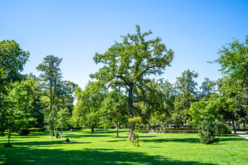 Herrngarten, Darmstadt, Hessen, Deutschland 