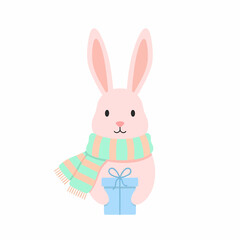 Pink Rabbit with Scarf Holding a Blue Gift Box.