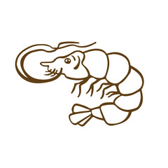 Shrimp food seafood line outline vector