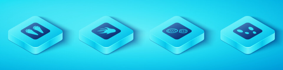 Set Isometric Rabbit and hare paw footprint, Alligator crocodile, Human footprints shoes and icon. Vector