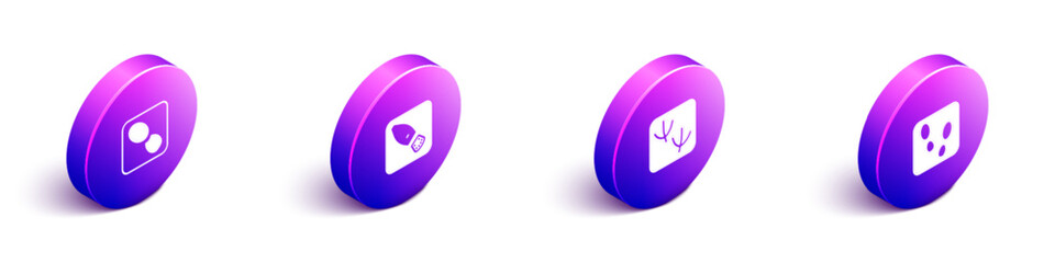 Set Isometric Human footprints shoes, , Dove paw and icon. Vector