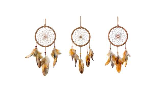 Dreamcatcher decoration on transparent background png