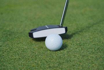 Close-up view of a golf ball and putter on the green, highlighting precision and focus in the game of golf