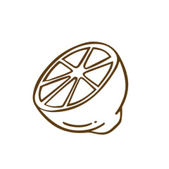 Half lemon fruits line outline vector
