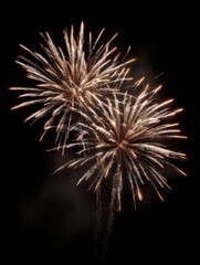Obraz premium golden 2028 new year fireworks celebration