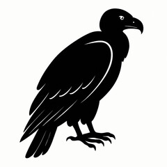 vulture isolated on white background