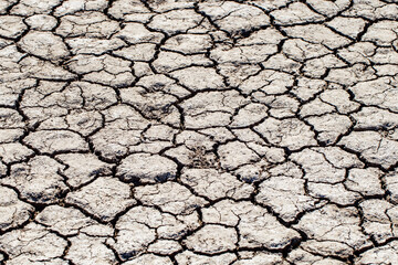 dry cracked earth, selective focus