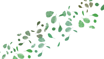 Watercolor Green Leaves Pattern on transparent Background: Organic, Botanical, Minimalist Design Element for Spring and Natural Concepts © Athifa