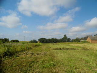 Mowed field with greenery, trees on the horizon, houses on the right under a blue sky with white clouds