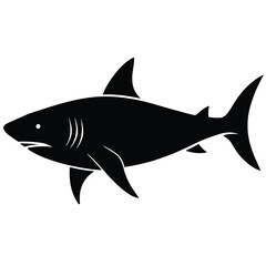 Black silhouette of a great white shark swimming white background