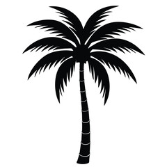 Fototapeta premium Black silhouette of a palm tree on white background 3