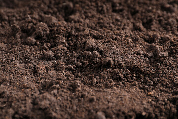 Fresh soil as background, closeup. Organic matter