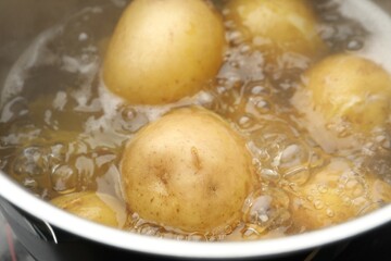 Young potatoes boiling in pot on stove, closeup
