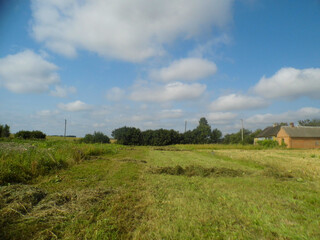 Mowed field with greenery, trees on the horizon, under a blue sky with fluffy white clouds