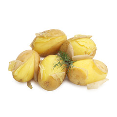 Tasty young boiled potatoes with dill isolated on white