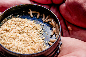 Fishing bait lure gentle worms maggots for fisherman hobby leisure outdoor