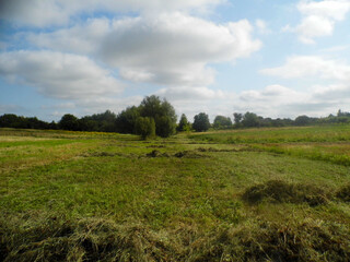 A green field with mown grass, a path leading to trees on the horizon, a sky covered with clouds, clear and calm weather.