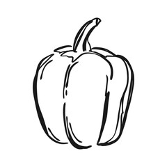 Hand drawn bell pepper. Abstract fresh vegetable doodle style, simple sketch of organic vegetarian food product. Vector isolated illustration