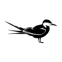 Obraz premium Elegant black skimmer bird illustration with sharp lines perfect for logo or print design needs now