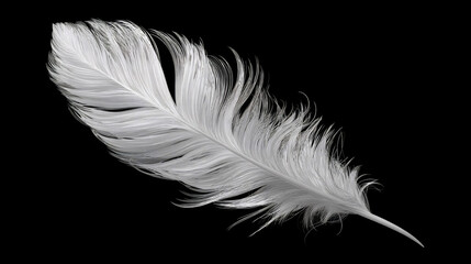 Obraz premium Delicate white feather resting against a dark background showcasing intricate details and soft textures Generative AI
