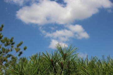 하늘을 보면 보이는 것듯