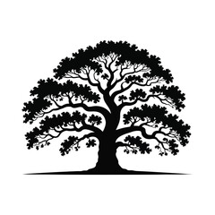 Obraz premium Detailed Oak Tree Silhouette Illustration in a Vector Graphic Style for Design Projects
