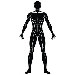 Black Silhouette of Muscular Male Body with White Outline