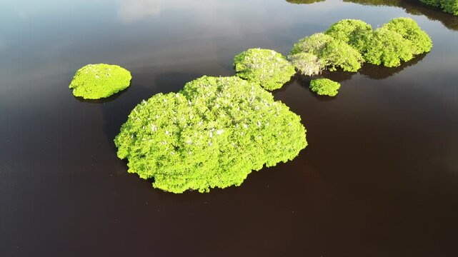 Mirador De Las Aves, San Blas Nayarait 28-08-2025