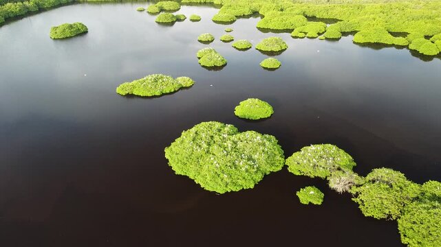 Mirador De Las Aves, San Blas Nayarait 28-08-2025