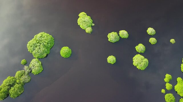 Mirador De Las Aves, San Blas Nayarait 28-08-2025