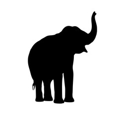 Obraz premium elephant silhouette vector