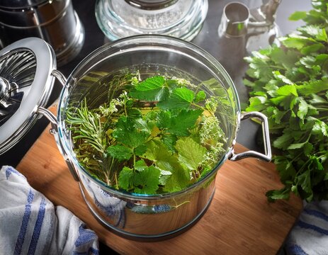 fresh herbs in maceration process for herbal infusion preparation