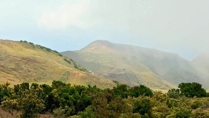 Obraz premium A Misty Mountain Landscape Featuring Beautiful Lush Greenery for Nature Lovers and Adventurers