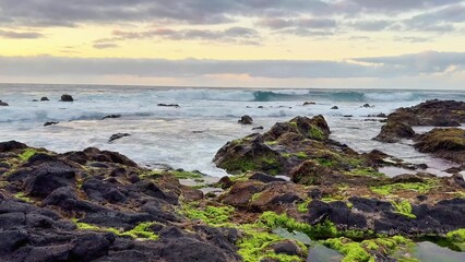 The view of the serene ocean features a stunning rocky shore accompanied by coastal vegetation